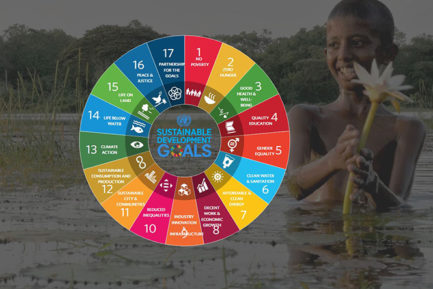 SDG chart